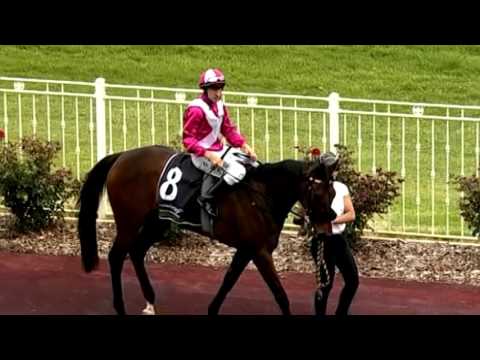 ASCOT 07 NOV 2015, RACE 2 - CELEBRITY MISS - MR BOB PETERS