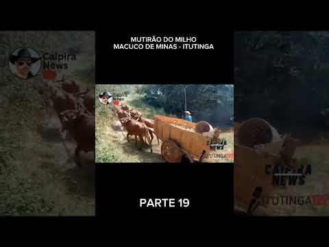 MUTIRÃO DO MILHO MACUCO DE MINAS - ITUTINGA