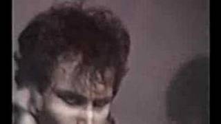 Adam and the Ants Dog Eat Dog Video
