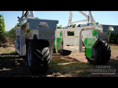 Vidéo YouTube - wtxzknjHyN8