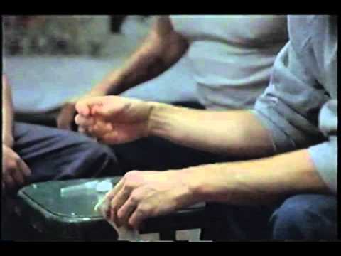 Animal Factory Scenes