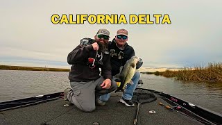 We Made SOME MONEY!!! - CBL on the California Delta