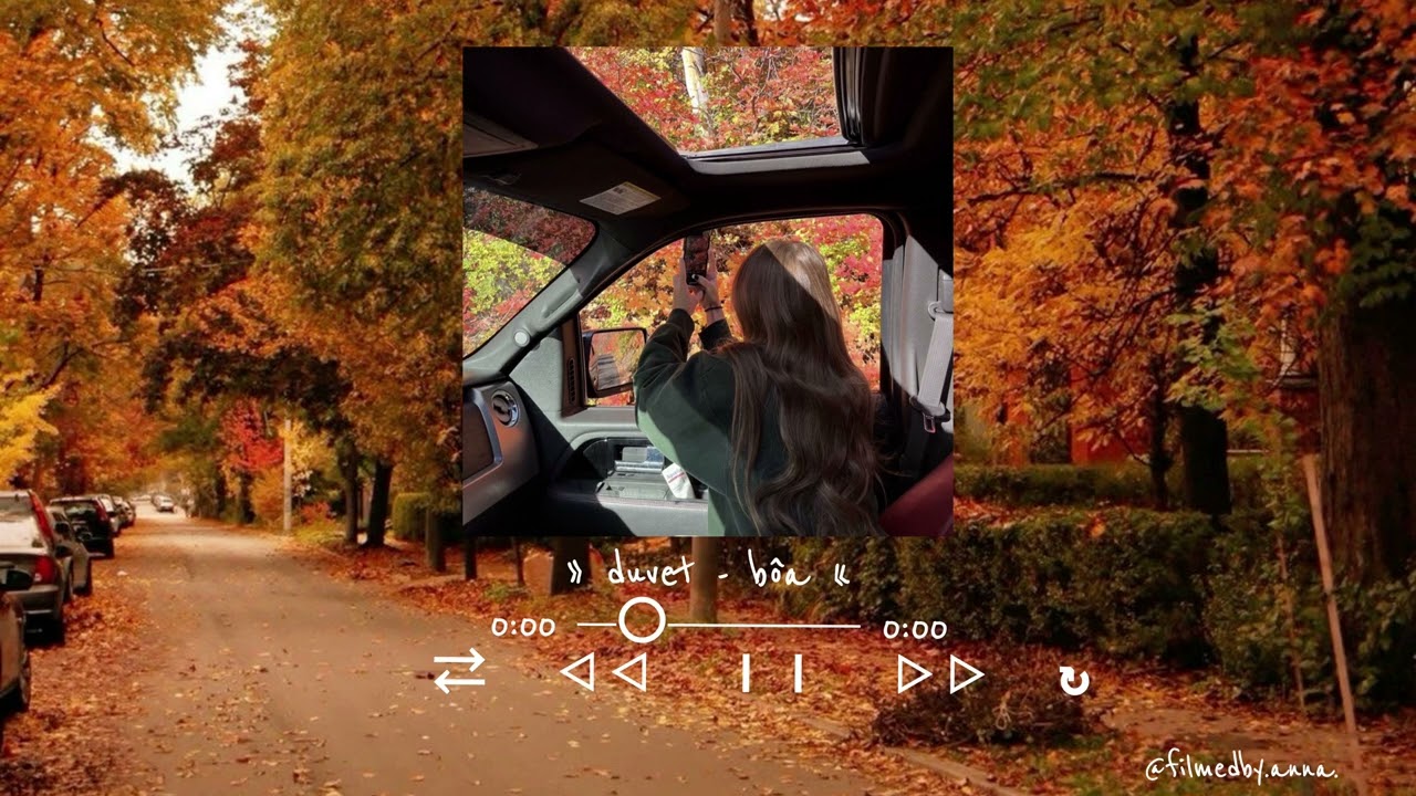 cozy autumn fall vibes (playlist)