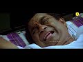 Brahmanandam Bhuvaneswari Superb Comedy Dubbed Super Hit Comedy Scenes Brahmanandam Hits