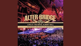 Slip to the Void (Live)