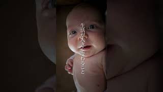 赤ちゃんが生まれることの不安【新米パパ】