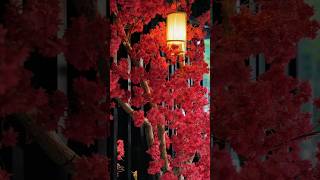 Download lagu Exploring the most aesthetic cafe in town 🌸✨ | Tea Mill mp3