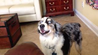 Samson & Joy: When naptime and feeding time collide