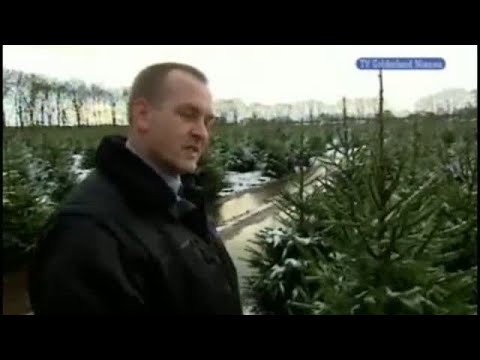 GLD Nieuws 22 november 2008 - Nieuws