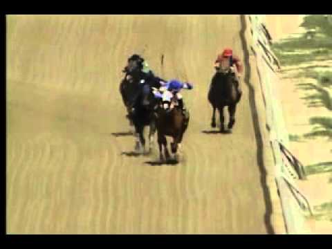 Pimlico 04/12/14 race 1
