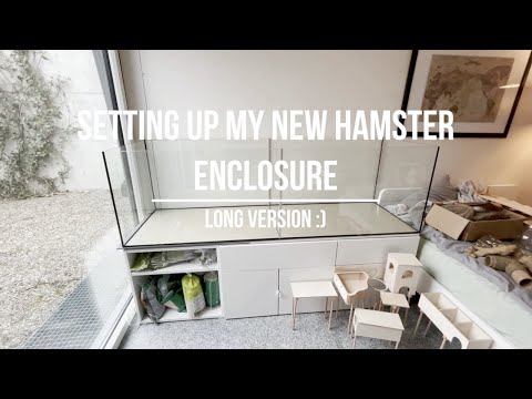 Setting up my new hamster enclosure - long version