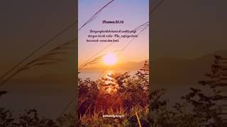 Download lagu Ayat Alkitab Pagi Hari🌟 Story WA Rohani #shorts #ayatalkitab #mazmur #videoestetik mp3