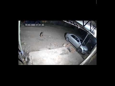 actividad para normal en caimancito Jujuy Argentina 😱😱😱 #paranormal #fantasmas #parati