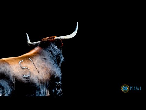 SORTEO | Desafío ganadero Saltillo vs Palha