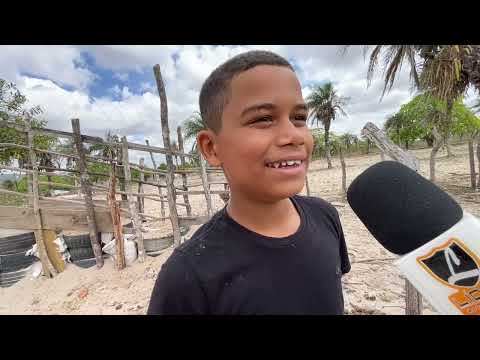 Feira de Cavalos do Bola Monteiropolis - AL 08 - 02 - 2026 #nordeste