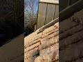 First Snow Of 2022 In Lippstadt Germany Morning Surprise Snow White Beautiful Shorts