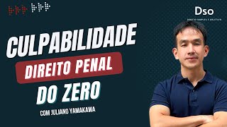 Exclui A Culpabilidade Em Decorrência Da Não Imputabilidade