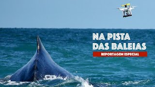 Miniatura do vídeo