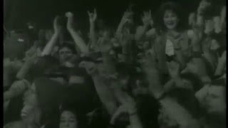 Motörhead - Too Good To Be True