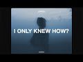 luca. & Sølace - if i only knew how (Lyrics)