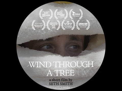 Wind Through a Tree