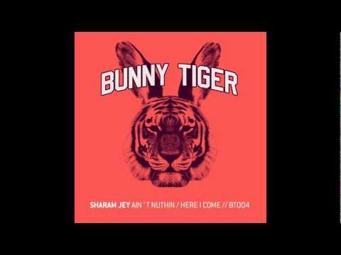 Sharam Jey - Ain´t Nuthin - Bunny Tiger004
