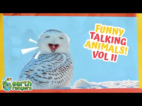 Funny Talking Animals Vol. 2 | Earth Rangers