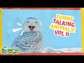 Funny Talking Animals Vol 2 Earth Rangers