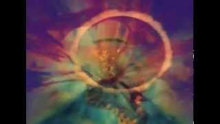 Severed Feathers - Beggars Tomb