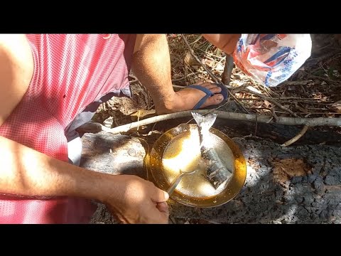 CALDEIRADA SO NA MANHA CAAPIRANGA AMAZONAS 