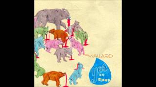 The Mallard - Shallows