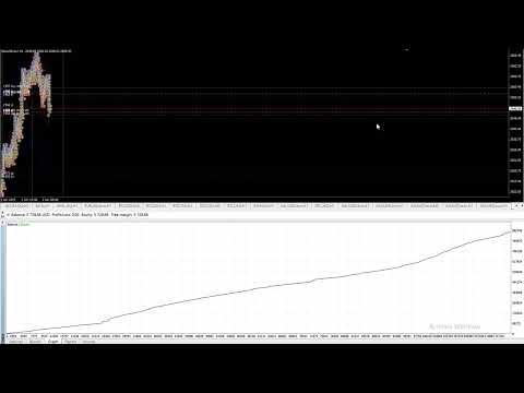 Video ECNture Piranha Bar