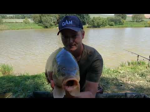 Prologic C3 Fulcrum Landing Net & Net Float