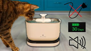 The Best Way To Keep Your Cats Hydrated - Petlibro Dockstrea
