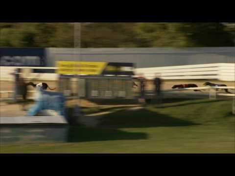 2017 WILLIAM HILL GRAND PRIX - HEAT 2 - T3 RUBYS RASCAL