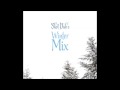 DJ Skot Dub - Winter Mix 