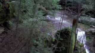 preview picture of video 'Detour on Trail from Cedar Falls, Hocking Hills State Park, Logan, Ohio'