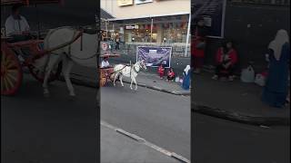 Download lagu Kuda Bendi di Bukittinggi #kudabendi #bukittinggi mp3