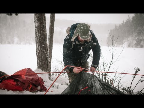 Holmer'n og Robban blir aldri voksne