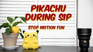 Stop Motion Fun at Home: What's Pikachu up to during Shelter in Place?
