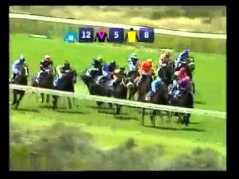 Al Mahara's win (Kenilworth) - Racing Association