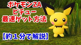 レアポケモン『ピチュー』出現場所・入手方法【ポケモンZA・攻略動画・任天堂スイッチ】