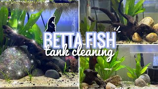 CLEANING MY BETTA FISH TANKS | TIMELAPSE