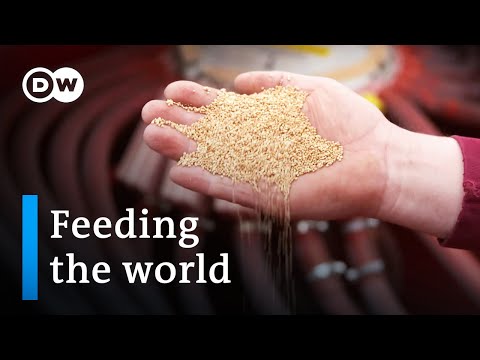 , title : 'Food security - A growing dilemma | DW Documentary'