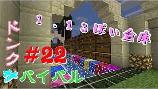 【ドンクサ女のマイクラ実況】1.13らしさを取り入れた倉庫着手【ドンクサバイバル＃22】
