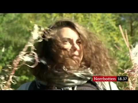 Nyheter Norrbotten - 6 september 2016