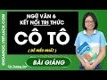Cô Tô - Ngữ Văn 6 - Kết nối tri thức