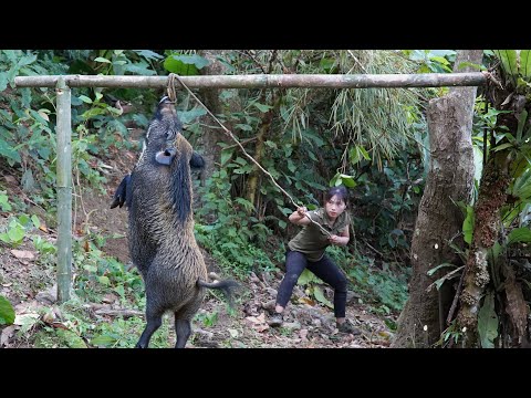 A solid shelter, wild boar traps in action – the real survival begins, survival alone