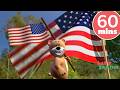 Baby Genius Yankee Doodle Dandy Songs For Kids