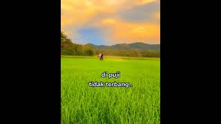 Download lagu story wa 30 detik#seorang petani💪 mp3 Download lagu story wa 30 detik#seorang petani💪 mp3